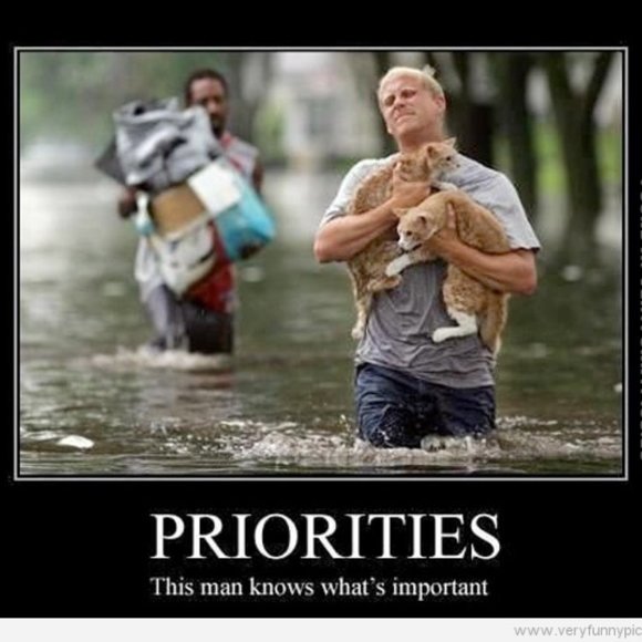 Welcome to the Robin's Nest - Picture 8 of 16